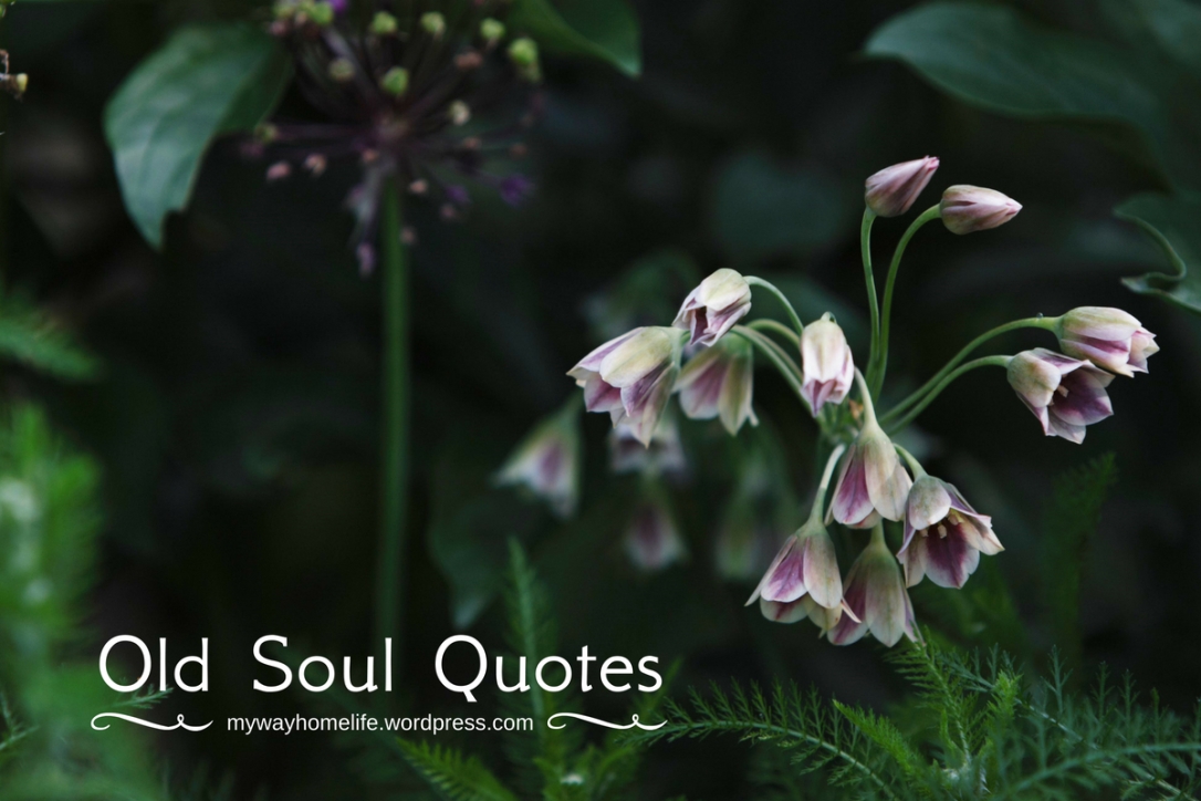 Old Soul Quotes